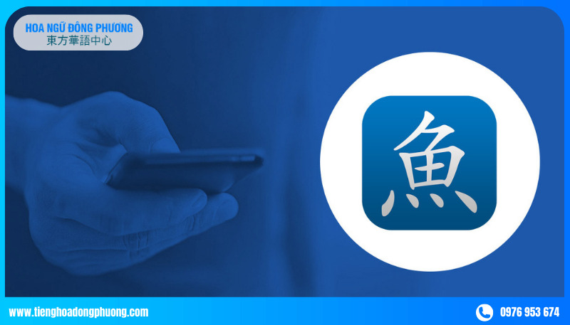 phần mềm tự học tiếng trung Pleco Chinese Dictionary 