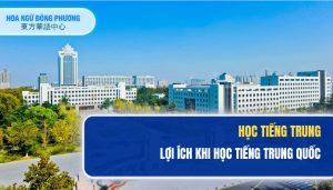 Đại học sơn đông