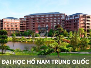 dai-hoc-ho-nam
