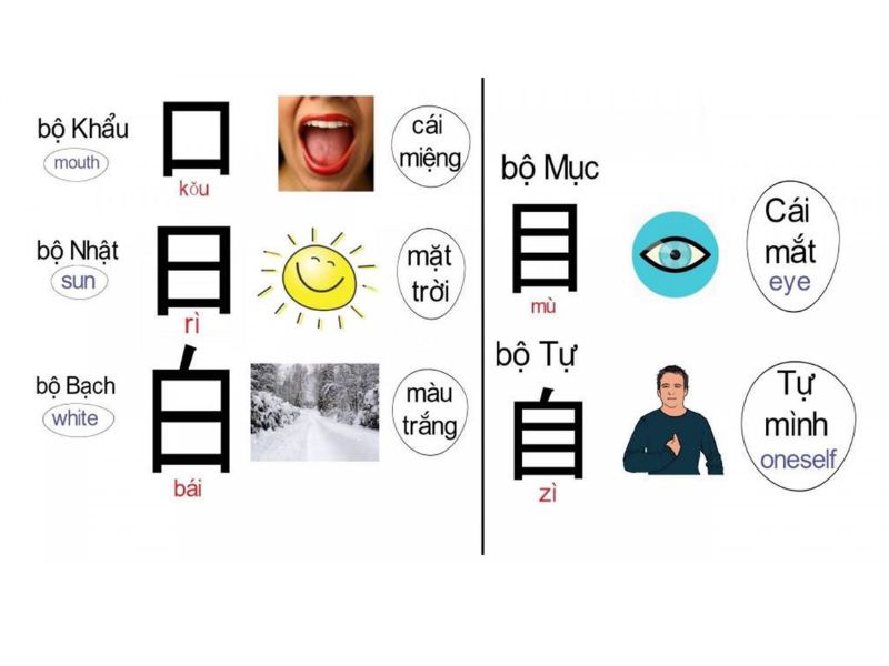 dai-hoc-tu-xa-nganh-ngon-ngu-trung-quoc