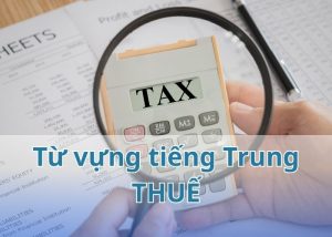 tu-vung-tieng-trung-chuyen-nganh-thue