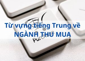 tu-vung-tieng-trung-nganh-thu-mua