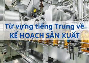 tu-vung-tieng-trung-ve-ke-hoach-san-xuat