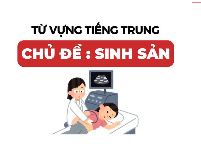tu-vung-tieng-trung-ve-sinh-san