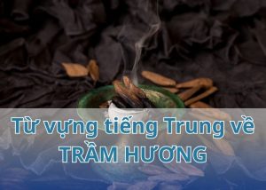 tu-vung-tieng-trung-ve-tram-huong