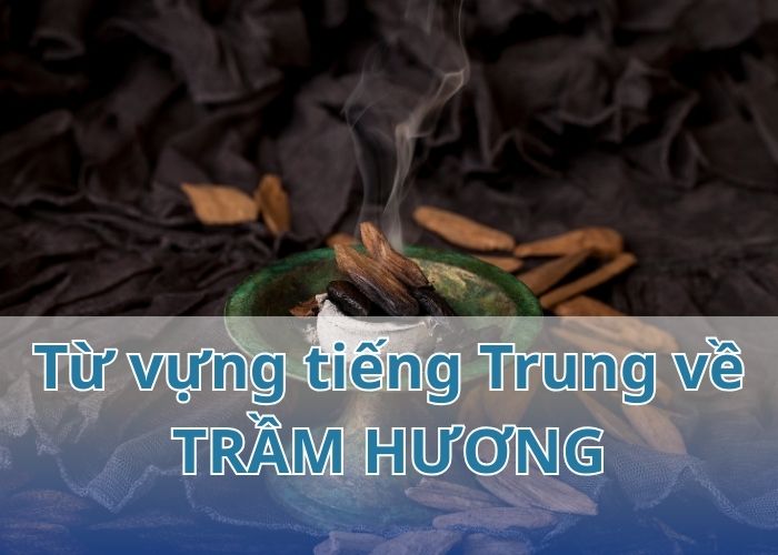tu-vung-tieng-trung-ve-tram-huong