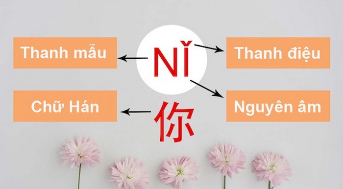 Hiểu rõ Pinyin là gì, lợi ích khi sử dụng, người học tiếng Trung nên vận dụng nó để phát triển kỹ năng nghe – nói