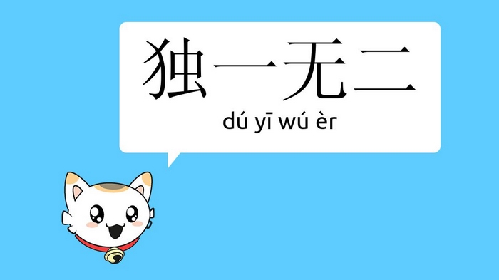 Thành ngữ tiếng Trung 独一无二 - Độc nhất vô nhị