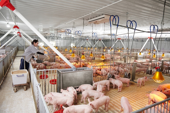 Ghi nhớ từ vựng tiếng Trung chủ đề chăn nuôi về công nghệ ứng dụng để đọc hiểu tài liệu kỹ thuật chăn nuôi hiện đại