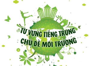 từ vựng tiếng Trung chủ đề môi trường