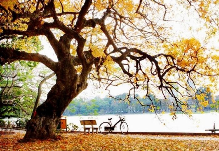 Từ vựng tiếng Trung chủ đề mùa thu rất đa dạng