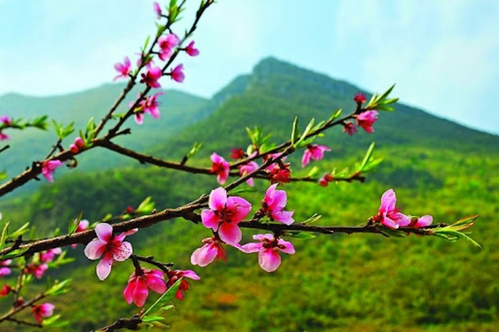 50+ từ vựng tiếng Trung chủ đề mùa xuân thông dụng nhất 5 Các câu nói hay về chủ đề mùa xuân giúp bổ sung vốn từ vựng tiếng Trung đa dạng hơn