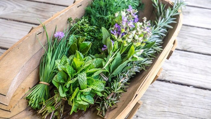 Để mua chính xác các loại rau gia vị cần khi nấu ăn, bạn cần biết nhiều từ vựng tiếng Trung chủ đề rau củ, rau gia vị