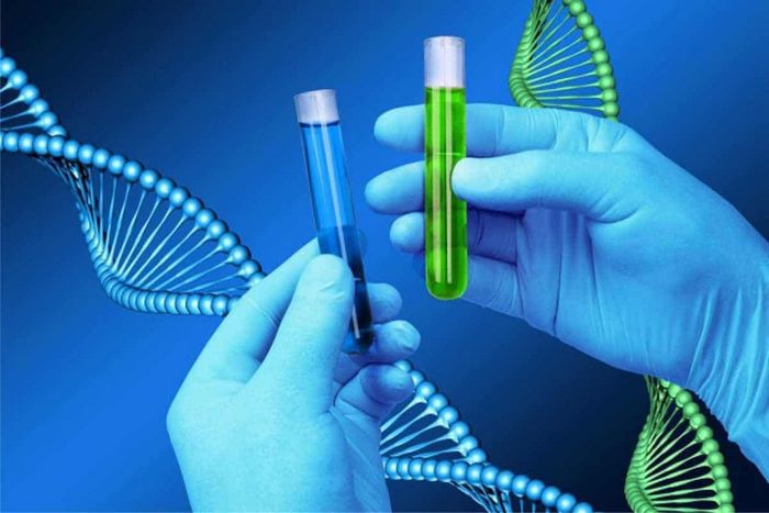 Sinh học phân tử chủ yếu nghiên cứu cấu trúc và chức năng của bộ gen tế bào sống
