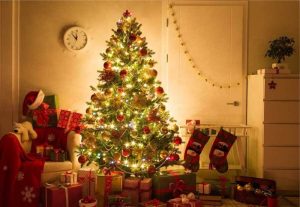 Từ Vựng Tiếng Trung Chủ Đề Giáng Sinh